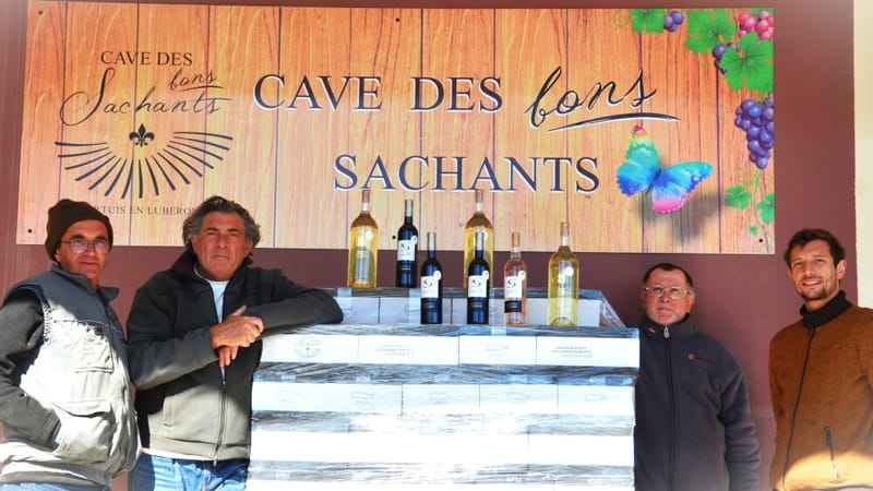 la-cave-cooperative-des-bons-sachants-a-obtenu-deux-medailles-a-orange-et-quatre-a-paris-dont-2-en-m-1775203577_64423658bcc96b8423658bcc99c423v_ Accueil
