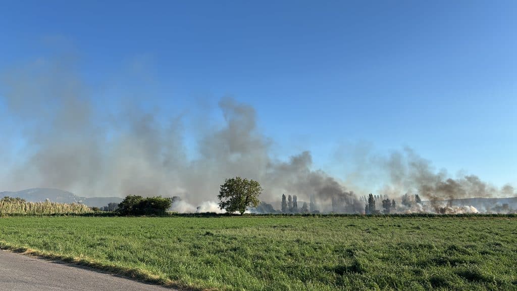 DBC4D7B3-412A-4E3A-B309-2E27EF6A149D-1024x576 Feu de végétation - Pertuis